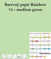 Papr RAINBOW A4/80g/500, 75 - medium green, stedn zelen