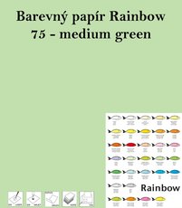 Papr RAINBOW A4/80g/500, 75 - medium green, stedn zelen
