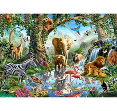 Diamantov obrzek - Safari 30x40cm   1007435