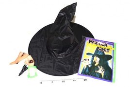 Karneval - Set arodjnice - klobouk, nos, brada, nehty W880236-1042368
