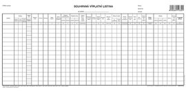 Souhrnn vplatn listina, 42,5 x 21 cm OP1133