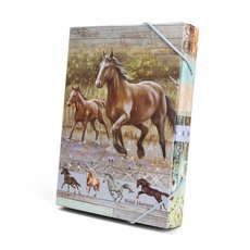 Box na seity Wild horses - s gumou A4 Argus     1231-0414