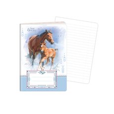 Seit A6 - 644, 40list 1598-0313