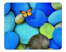 Podloka pod my BUTTERFLY   2031