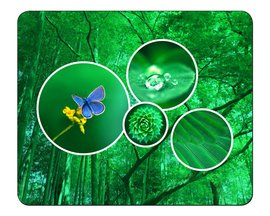 Podloka pod my  FOREST  2045