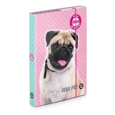 Desky na seity s gumou A5 ISHA - My love Pet      5-76620