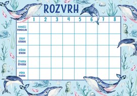 Rozvrh hodin Ocen