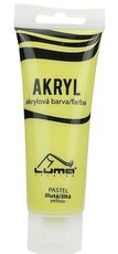 Barvy akrylov pastel.lut E330302