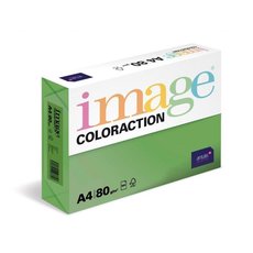 Papr COLORACTION A4/80g/500 Syt zelen - DG47 Dublin