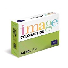 Papr COLORACTION A4/80g/500 Stedn zelen - MA42 Java