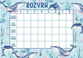 Rozvrh hodin Ocen  BR058