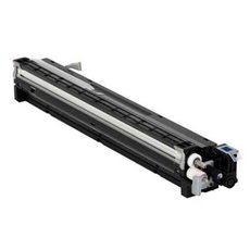Ricoh originln developer D1773021, D1773026, cyan, 120000str.