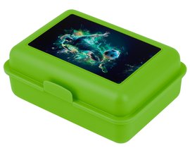 BAAGL Box na svainu Fotbal Hr