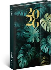 NOTIQUE Tdenn magnetick di Monstera 2026, 11 x 16 cm