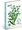 18msn di Petito  Herb 2025/2026, 11 x 17 cm              PGD-35534-V
