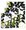 Blok A4 spirla 14070/1b (ist)       NOTES