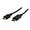 Video kabel DisplayPort samec - HDMI samec, 1m, ern, Logo blistr, DOPRODEJ