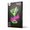Neon PLEXI LED COCKTAILS pink green FPNE02X Forever Light