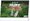 NOTIQUE Stolov kalendr Huby 2026, 23,1 x 14,5 cm