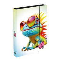 Desky na koln seity A4 Jumbo Chameleon 1-46725