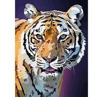 Malovan na pltno 30x40cm Tygr v noci  1007568