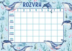 Rozvrh hodin Ocen