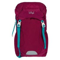Batoh BAAGL Tracker Roj       A-34319