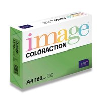 Papr COLORACTION A4/160g/250 Syt zelen - DG47 Dublin