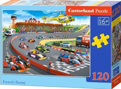 Puzzle Castorland 120 dlk - Zvod formul        cc120*13470