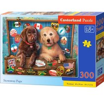 Puzzle Castorland 300 dlk -  rzn motivy c0300
