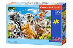 Puzzle Castorland 260 dlk -  rzn motivy c0260