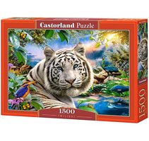 Puzzle Castorland 1500 dlk -  rzn motivy c1500