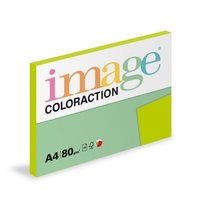 Papr COLORACTION A4/80g/100 Stedn zelen - MA42 Java