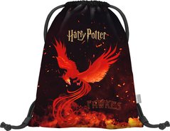BAAGL Sek Harry Potter Fnix