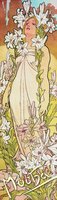 Zloka Alfons Mucha  Lilie
