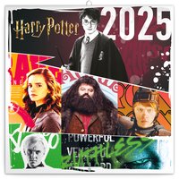 NOTIQUE Poznmkov kalend Harry Potter 2025, 30 x 30 cm