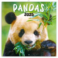 Poznmkov kalend Pandy 2025, 30  30 cm