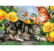 Malování podle čísel 30x40 cm - Koťata na zahradě PJL45