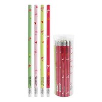Tuka grafitov HB s gumou Plamek, mix/4 designy  6813