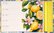 pg_pgd-35547-v_03.jpg