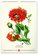 pg_pgn-35185_06.jpg