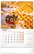 pg_pgn-35733-l_01.jpg