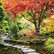 pg_pgp-35162-v_11.jpg