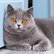 pg_pgp-35166-z_02.jpg