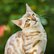 pg_pgp-35166-z_04.jpg