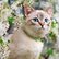 pg_pgp-35166-z_05.jpg