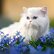 pg_pgp-35166-z_09.jpg