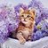 pg_pgp-35168-z_05.jpg