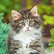 pg_pgp-35168-z_09.jpg