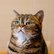 pg_pgp-35176-z_03.jpg